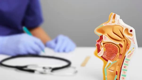 Sfaturi pentru prevenirea infecțiilor sinusurilor