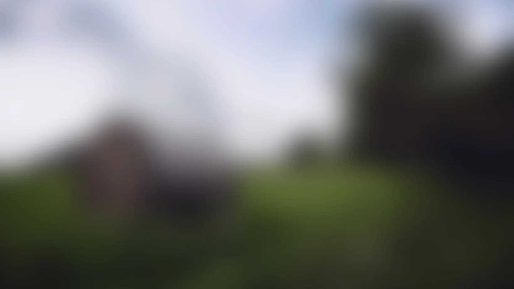 Am inceput sa vad in ceata – este timpul pentru o interventie oftalmologica?