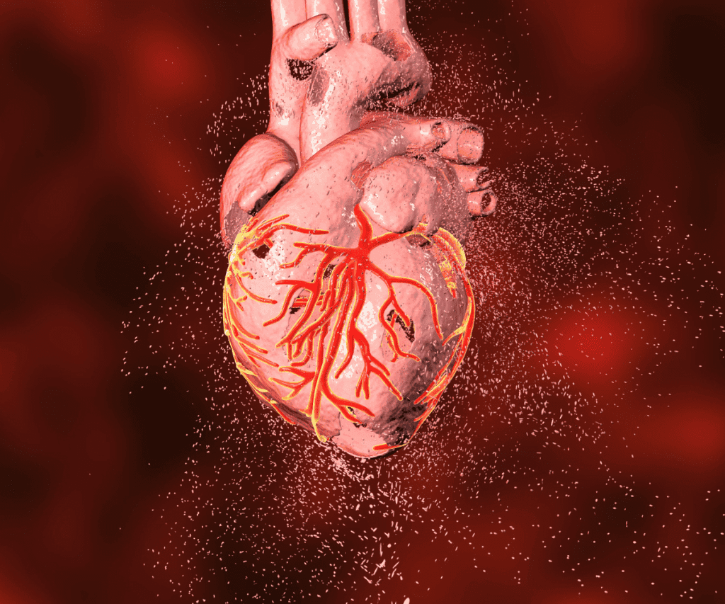 Cardiologie